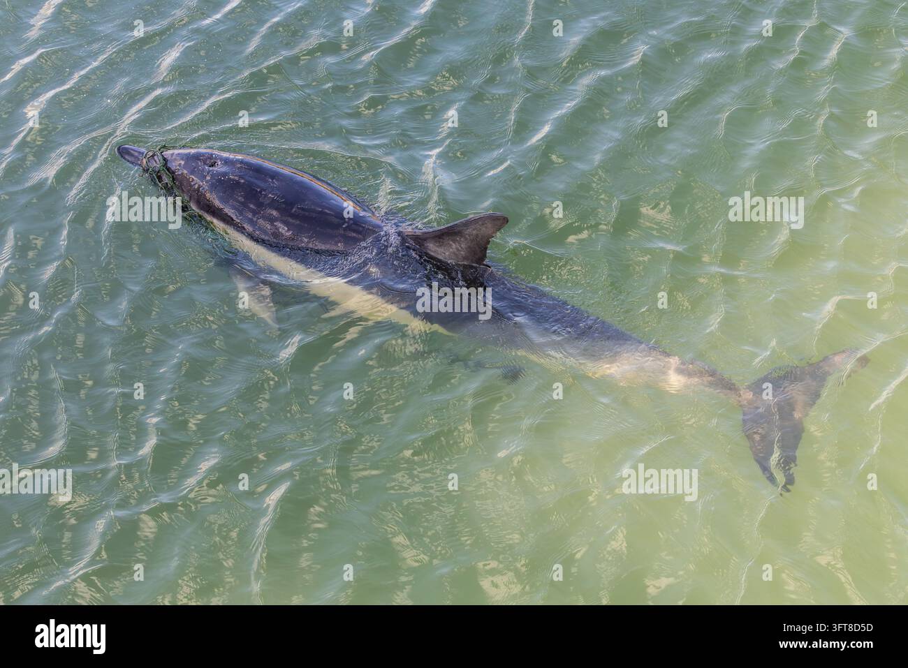 October 14 2026 hi-res stock photography and images - Alamy