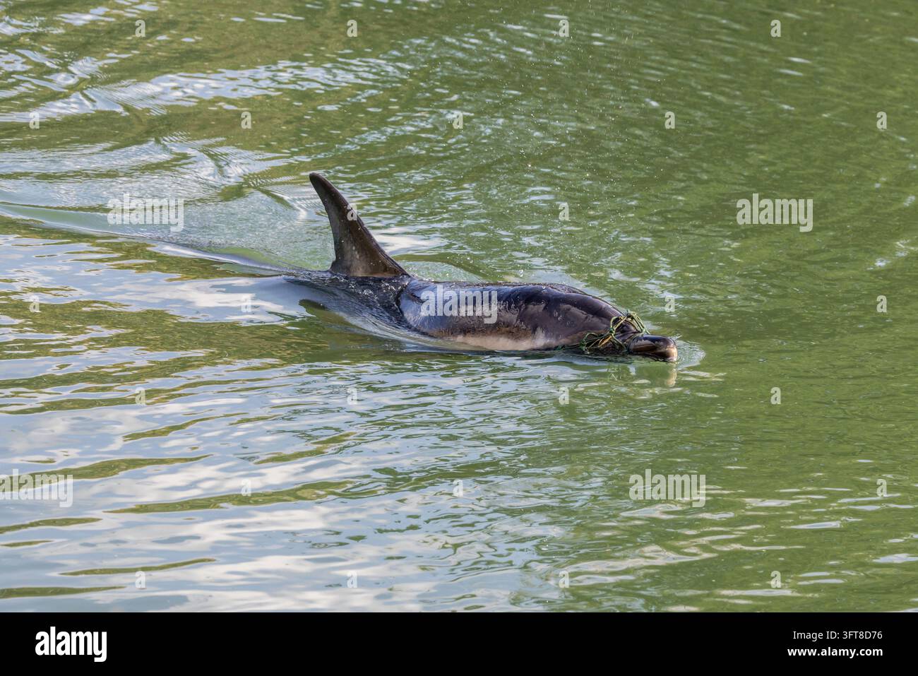 October 14 2026 hi-res stock photography and images - Alamy