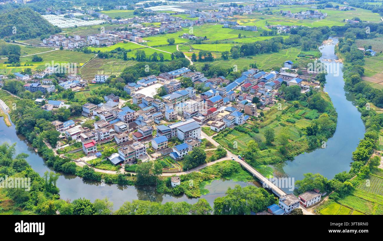 Rice paddies transitioning from green to yellow create a picturesque ...