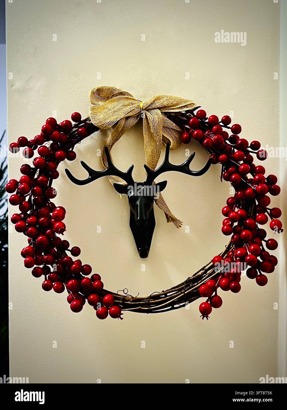 a festive Christmas wreath made of twigs with abundant red berries, tied with a beige burlap bow and hung on a black deer head-shaped wall hook. - Smartphone Captured Stock Image