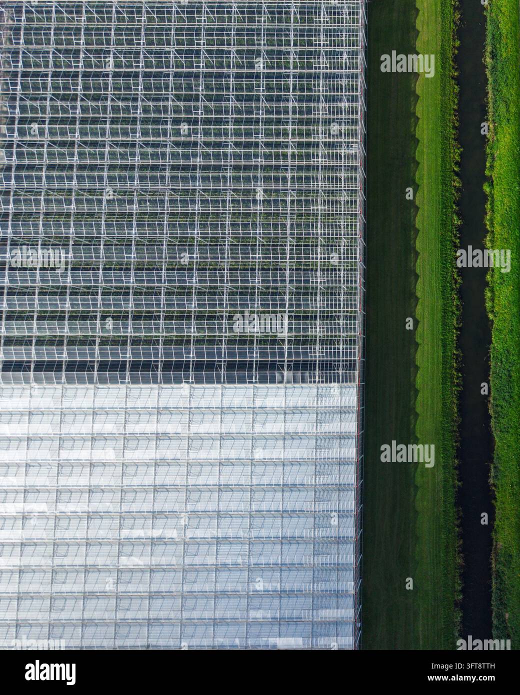 Aerial view of a large glass greenhouse complex with geometric roof ...