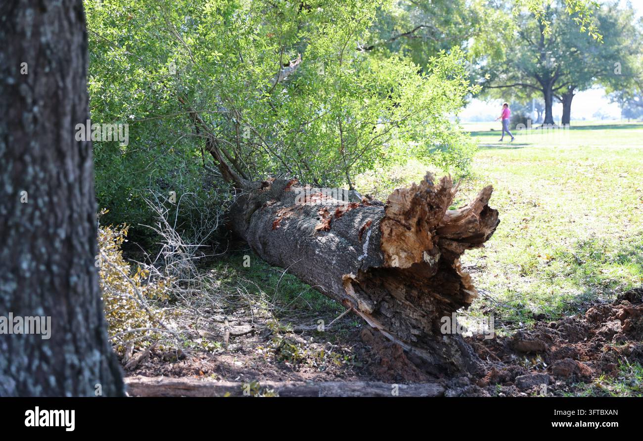 2026 hurricane relief hi-res stock photography and images - Alamy