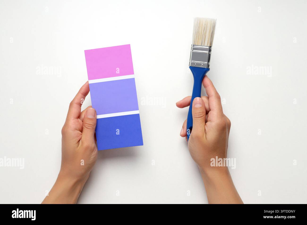 Female hands holding color palette and brush on white background Stock ...