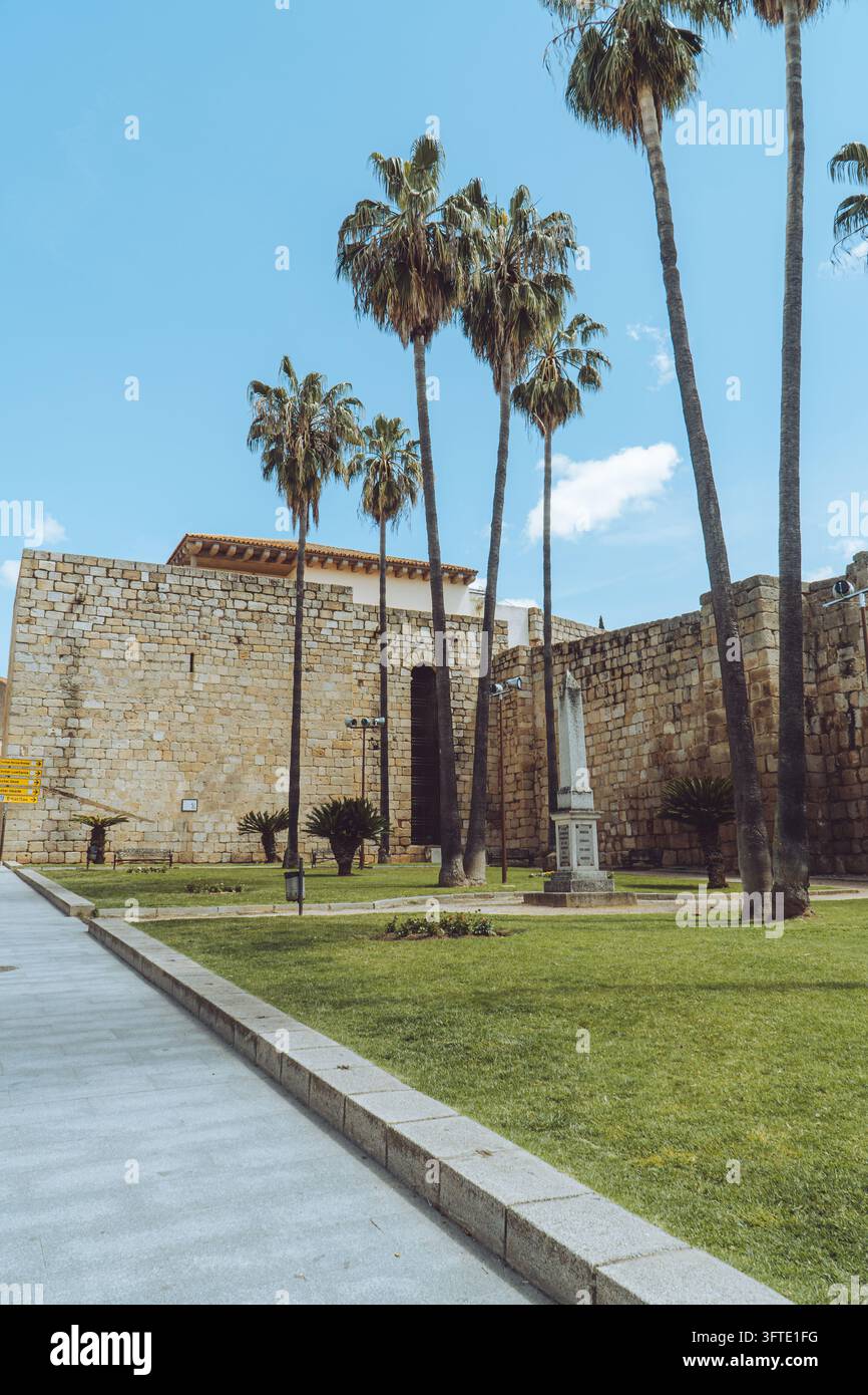 Tsll Tree Ancient stone fortress walls and tall palm trees in the historic city ...
