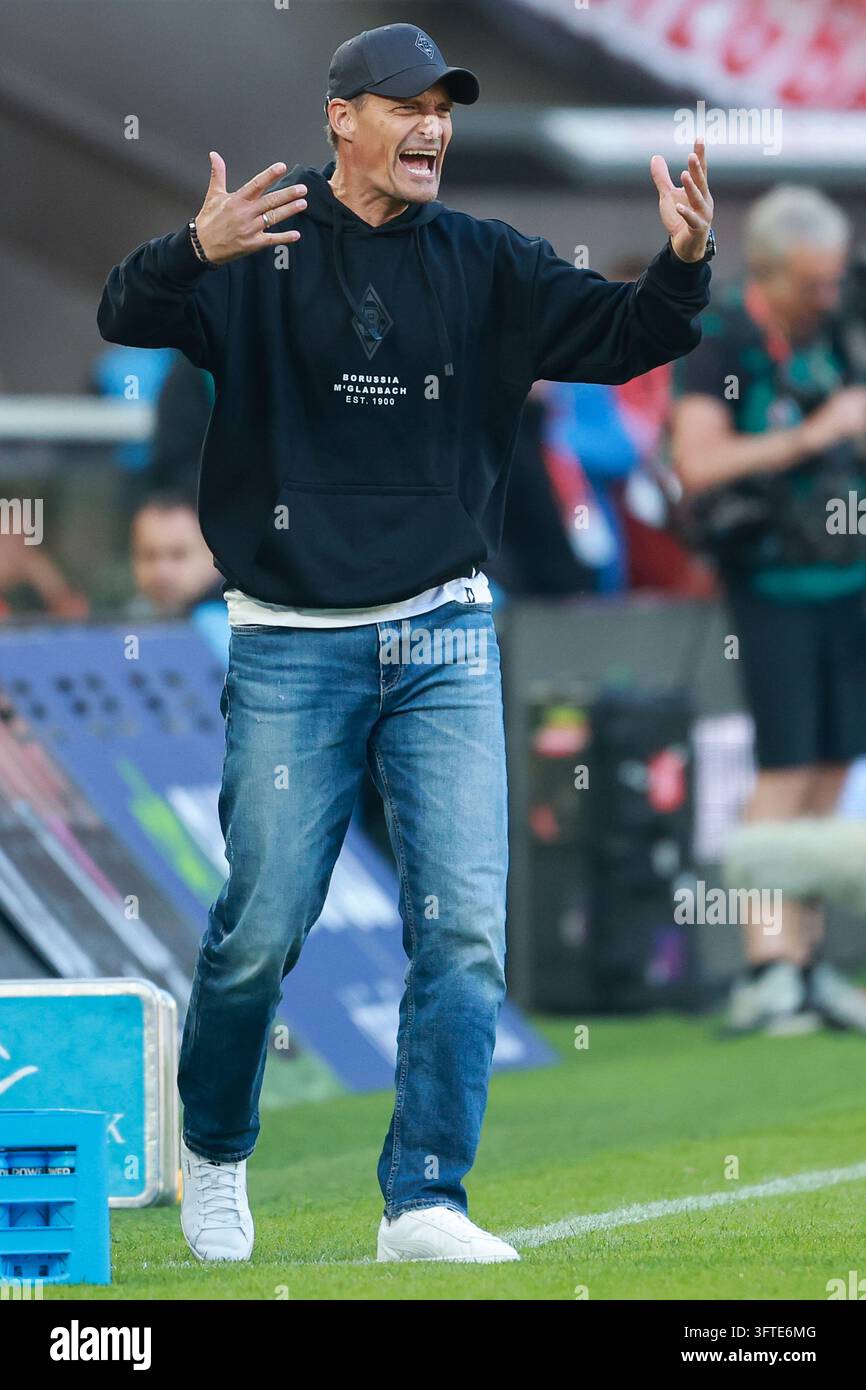 1. Bundesliga [Bundesliga] - 26/27 - 1. FC Cologne - Borussia ...