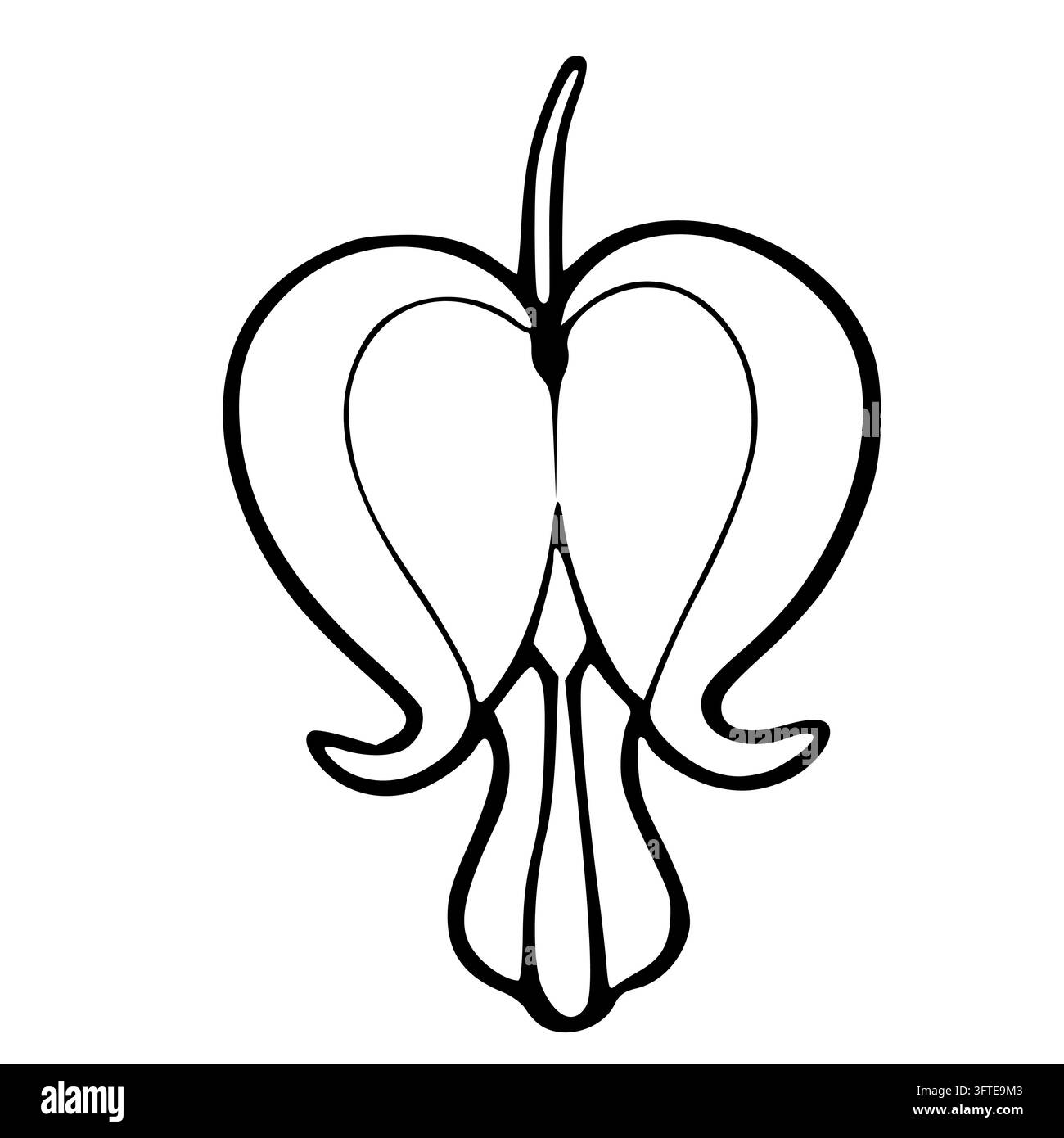 Sign Outlibe Bleeding heart flower vector outline illustration Stock Vector Image ...