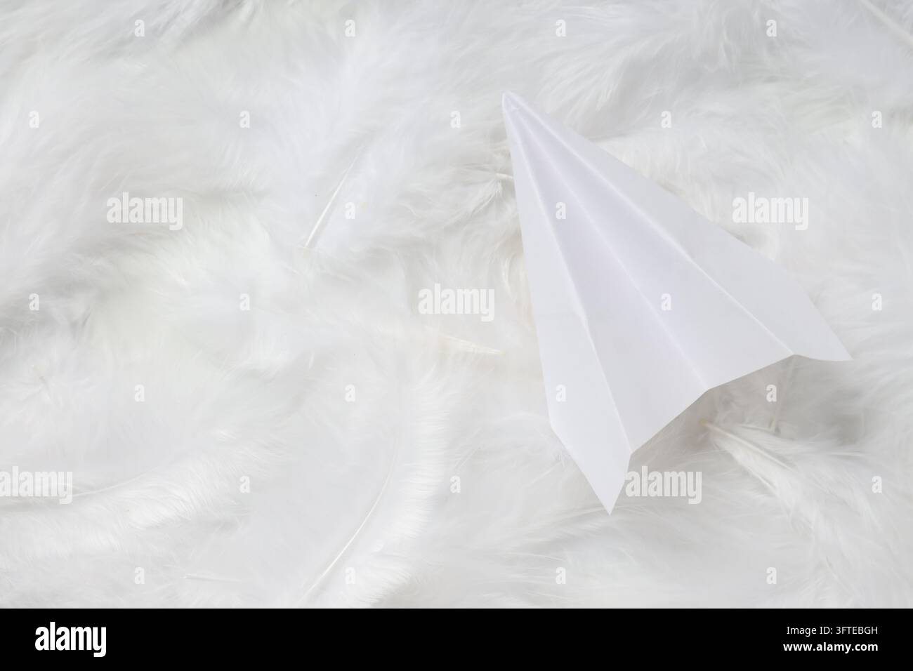 Paper plane and feathers on white background Stock Photo - Alamy