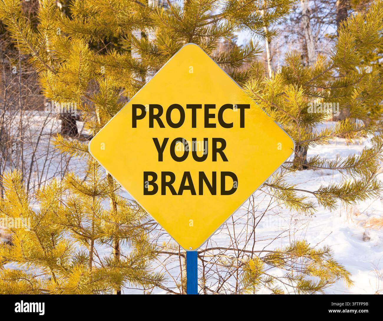 Pprot Protect your brand words symbol. Concept words Protect your brand on ...