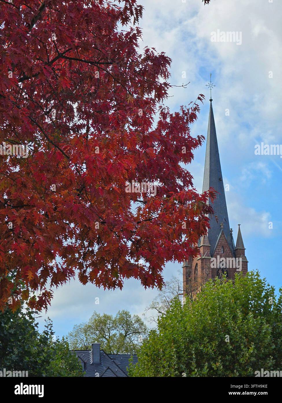 Red autumn maple leaves framing distant historic church spire under blue sky with clouds vertical portrait view - Smartphone Captured Stock Image