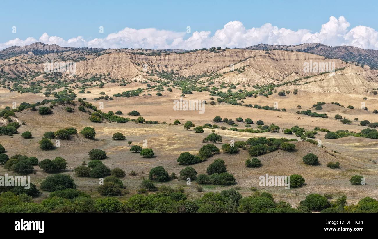 Aerial view of Vashlovani National Park featuring rolling semi-arid ...