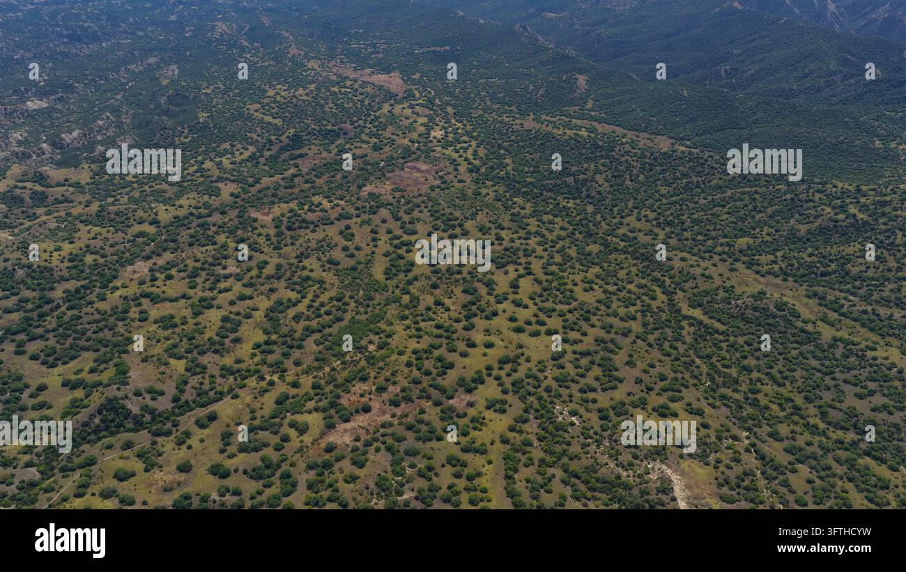Aerial view of Vashlovani National Park featuring rolling hills covered ...