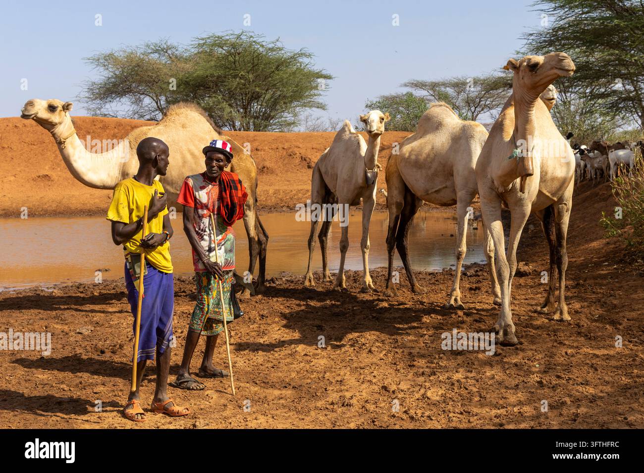 Two Samburu tribe men talking with walking sticks beside a waterhole ...