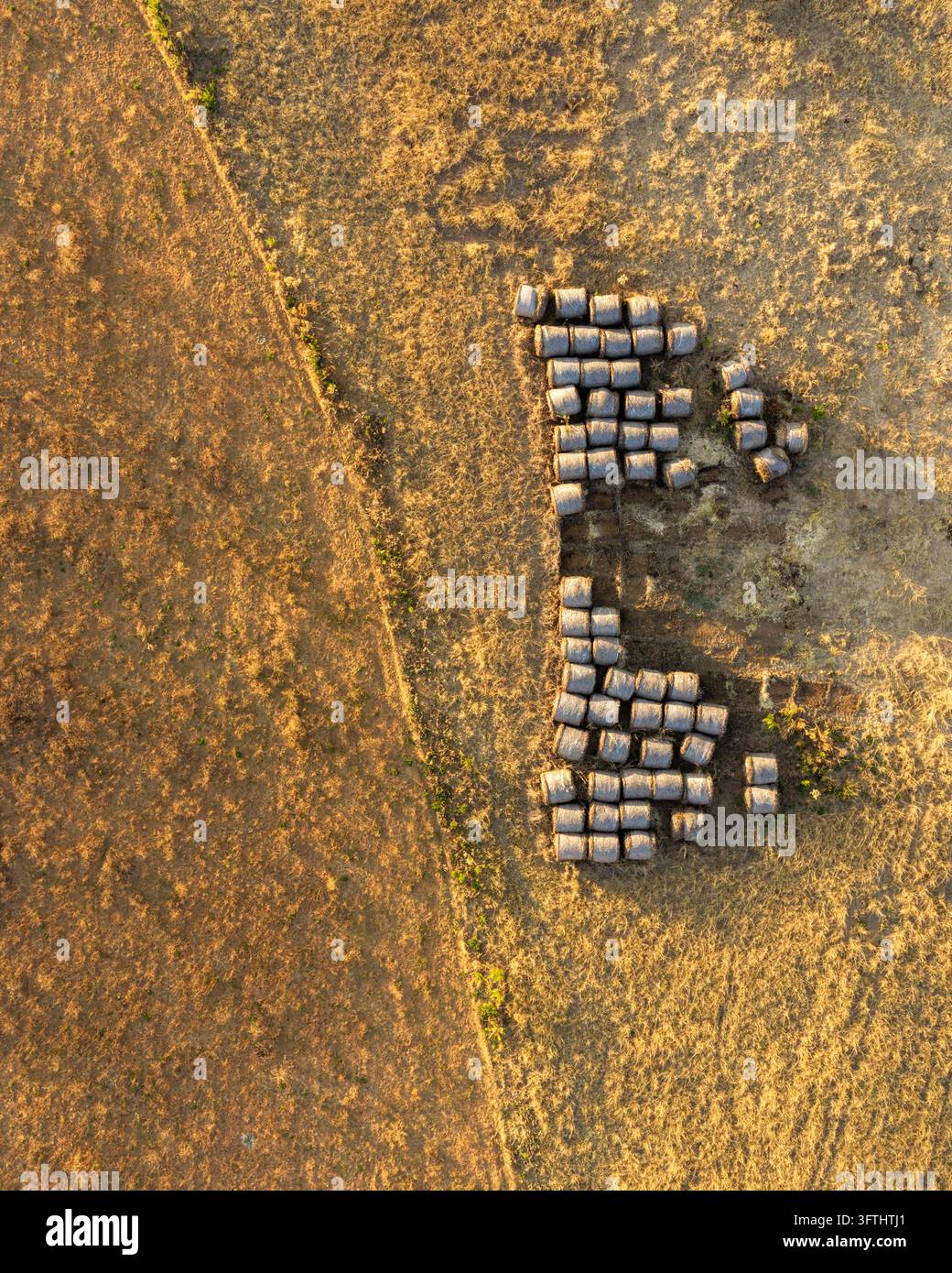 Aerial view of harvested grass hay bales arranged on dry golden ...