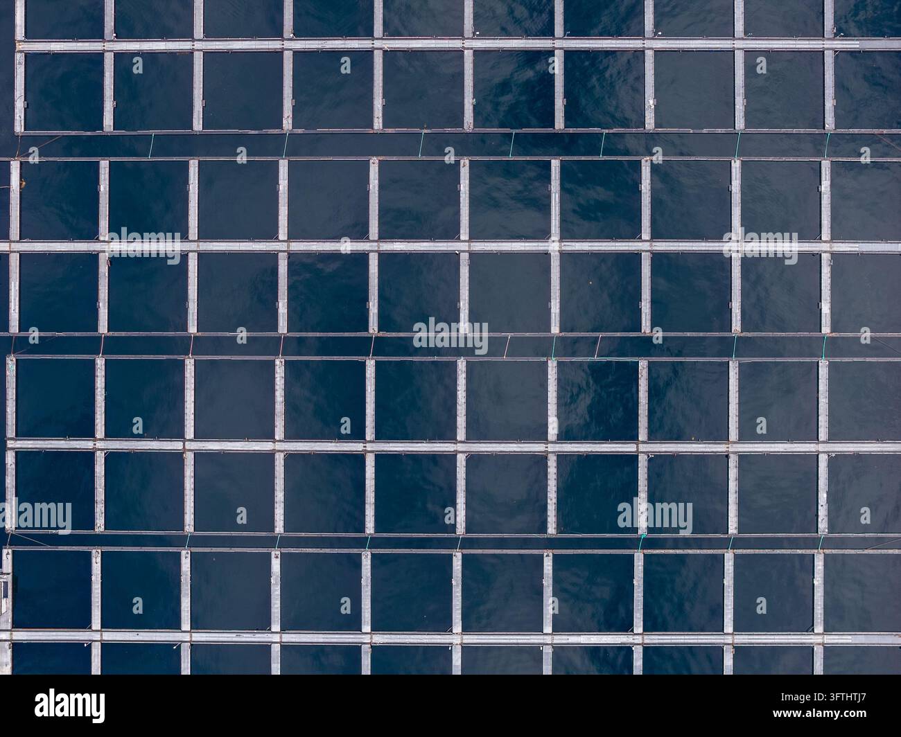 Floting Farm Aerial view of fish farms with a grid of floating metal cages on the ...