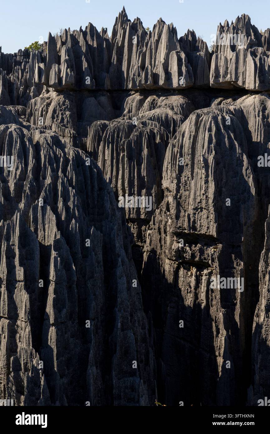 Rows of sharp grey limestone pinnacles rise dramatically at the Tsingy ...