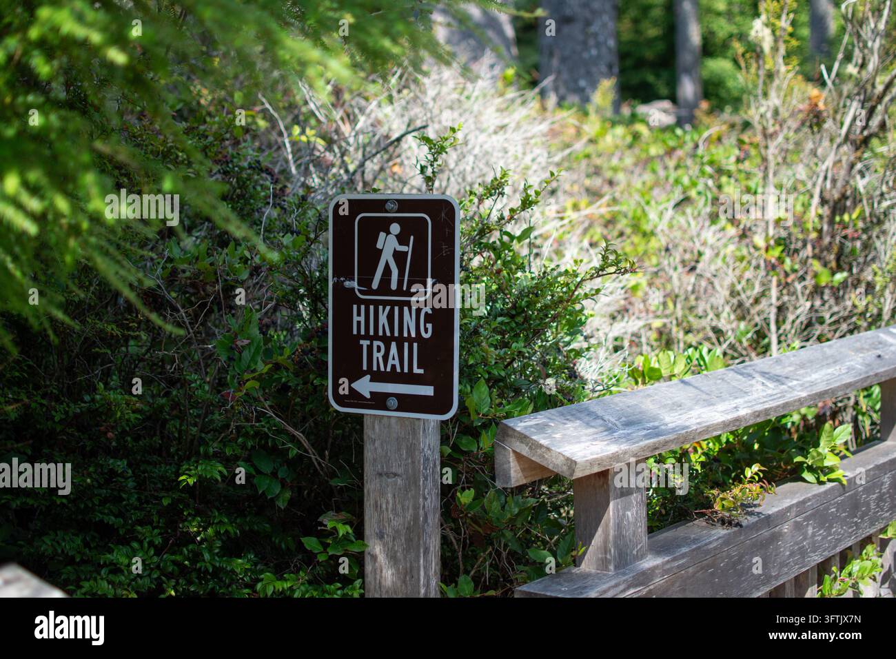 Brown hiking trail sign with arrow in green forest Stock Photo - Alamy
