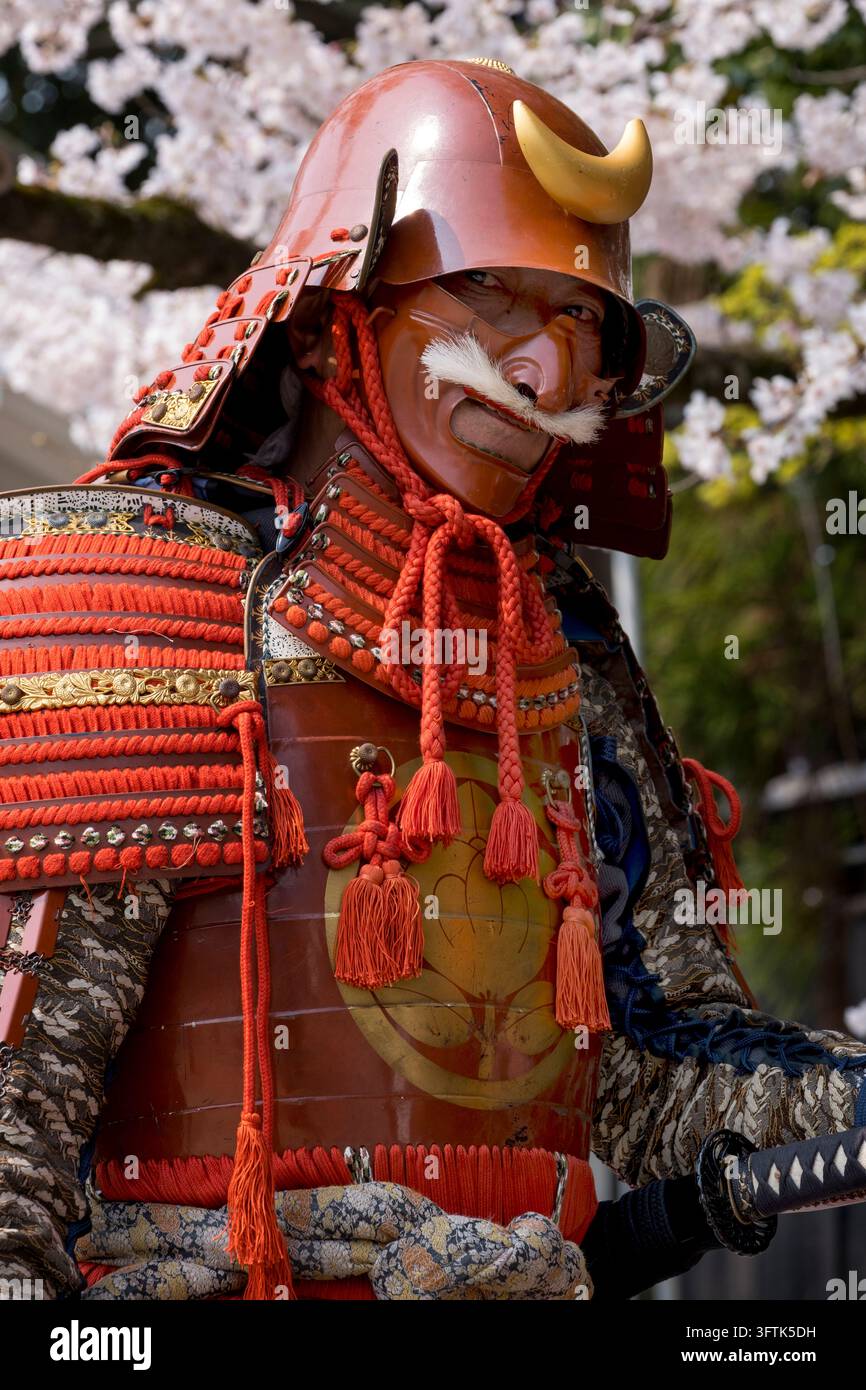 Ii clan Japanese samurai soldier, aka: red devil warrior, in full armor ...