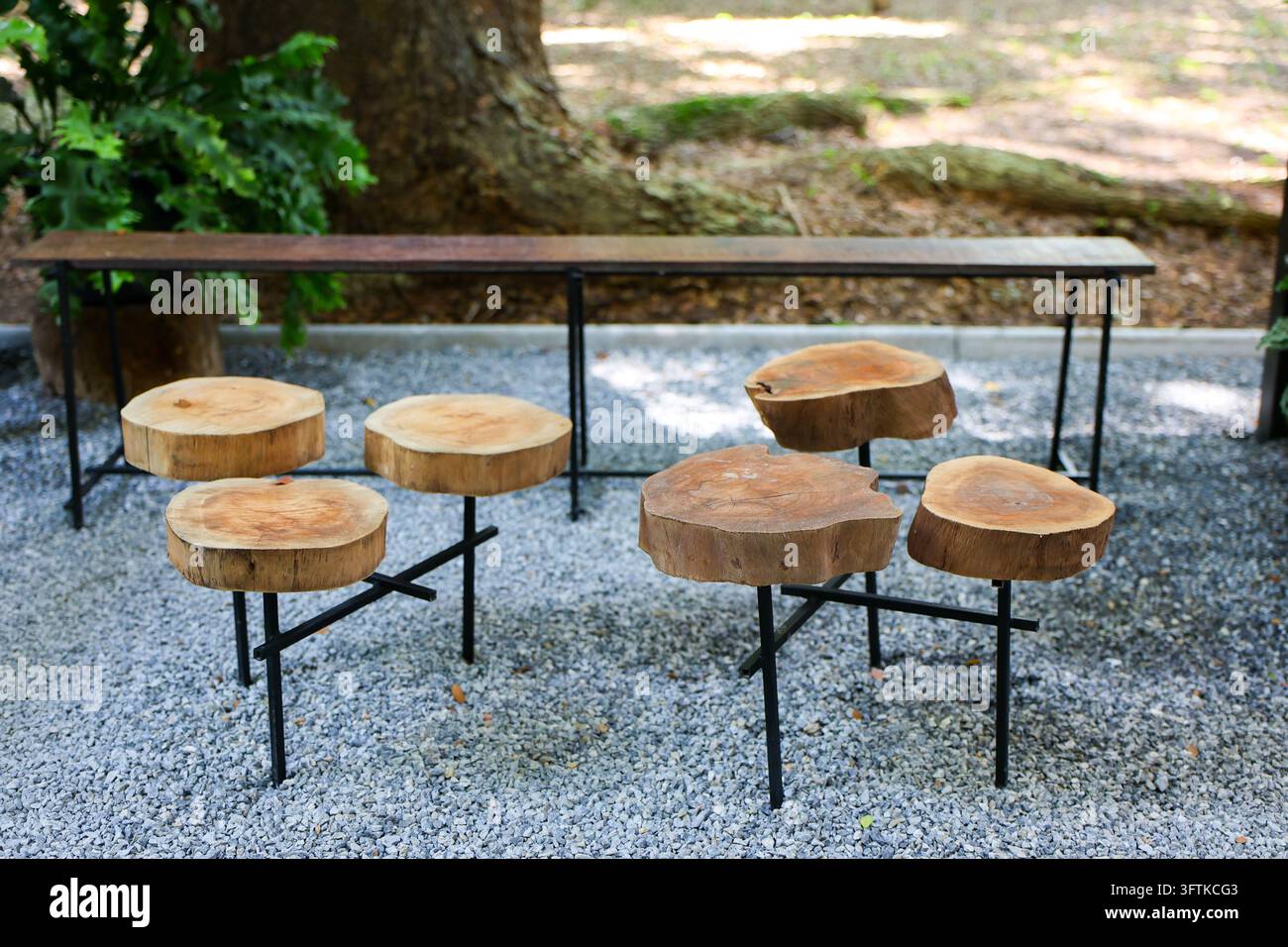 A rustic wooden bench and stump seat in shaded forest garden with ...