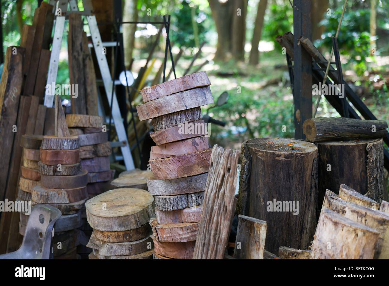 A rustic wooden plank and log stack in shaded woodland workshop, with ...
