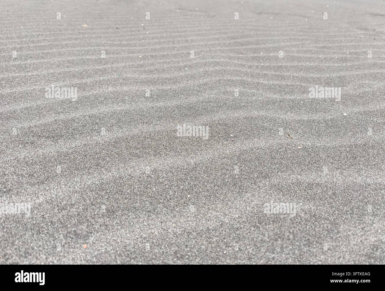Abstract monochrome grain texture with dense speckled noise, subtle ...