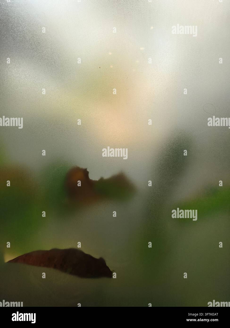 Translucent Glass Textured Frosted glass texture with soft shadows and blurred green foliage ...