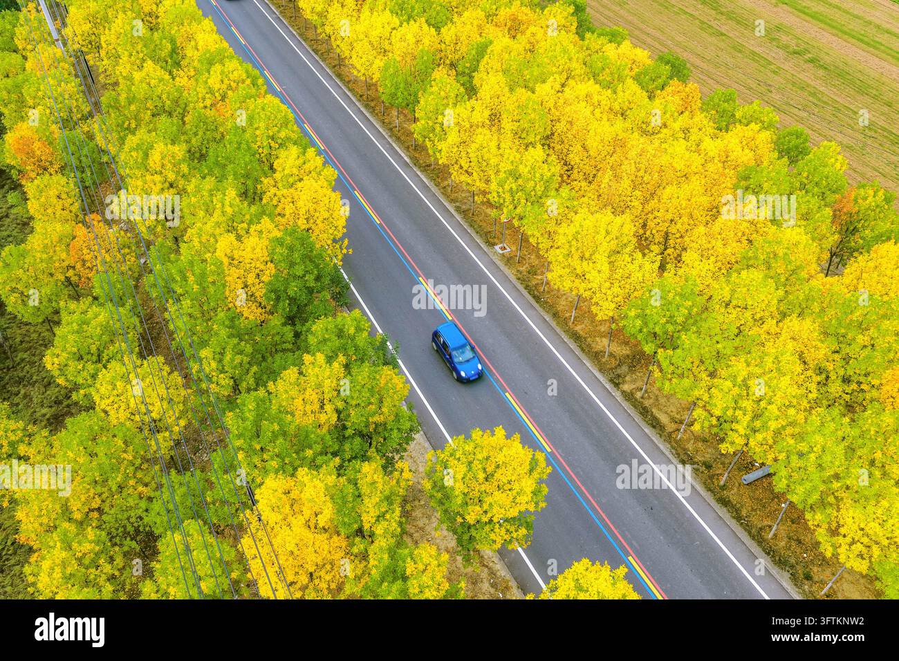Trees along the Rainbow Road from downtown Yuncheng to Dongguo Township ...