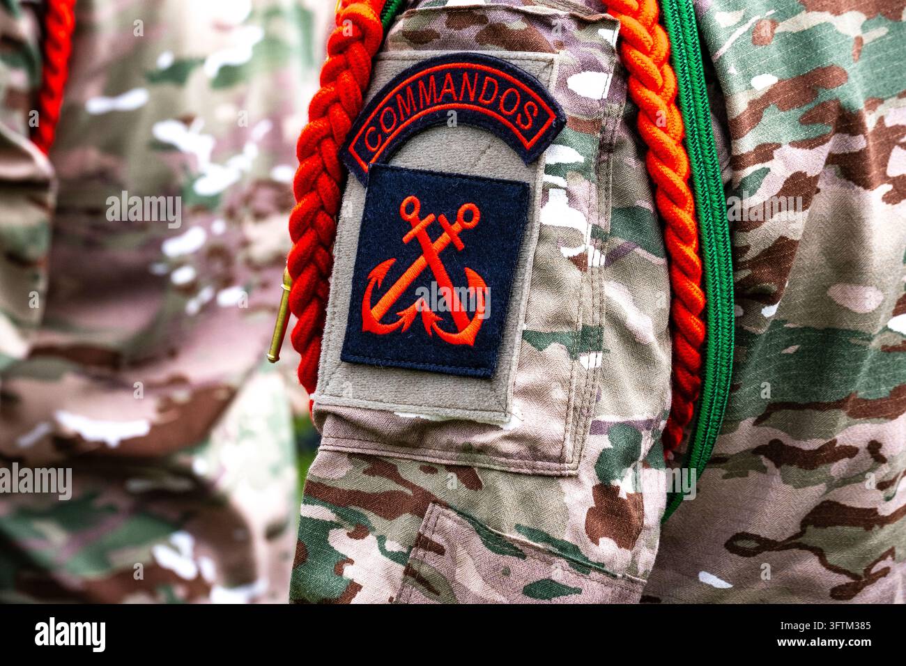 A soldier wearing a commando insignia during the D-Day commemoration in ...