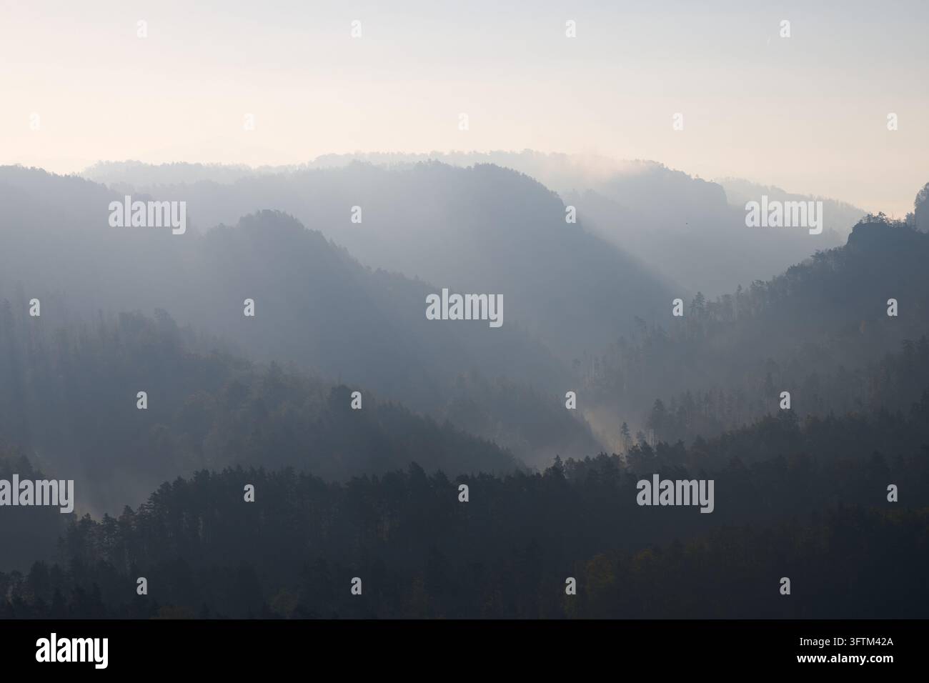Bad Schandau, Germany. 16th Oct, 2026. Wafts of fog drift through the ...