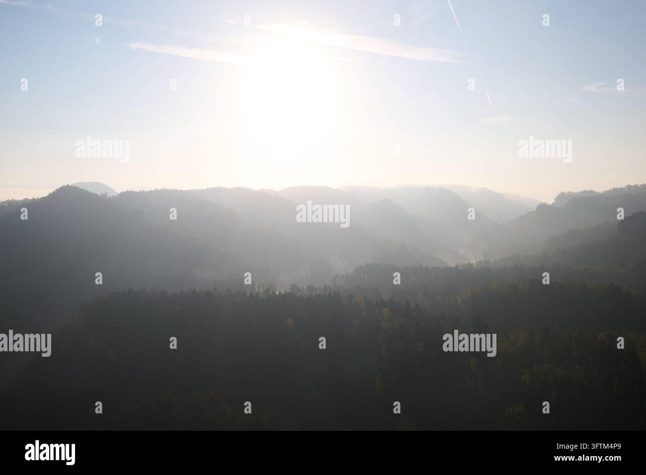 Bad Schandau, Germany. 16th Oct, 2026. Wafts of fog drift through the ...