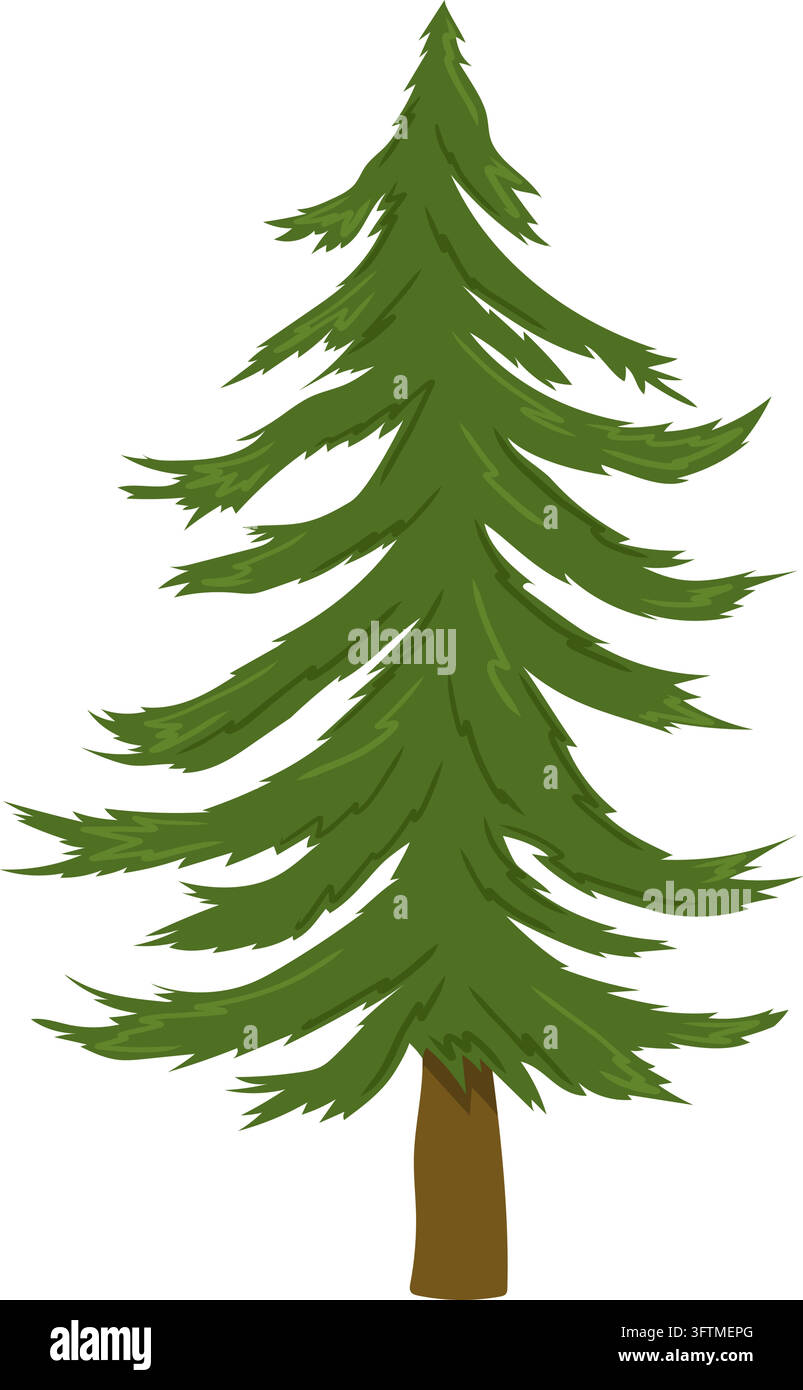 Tall conifer tree Stock Vector Image & Art - Alamy
