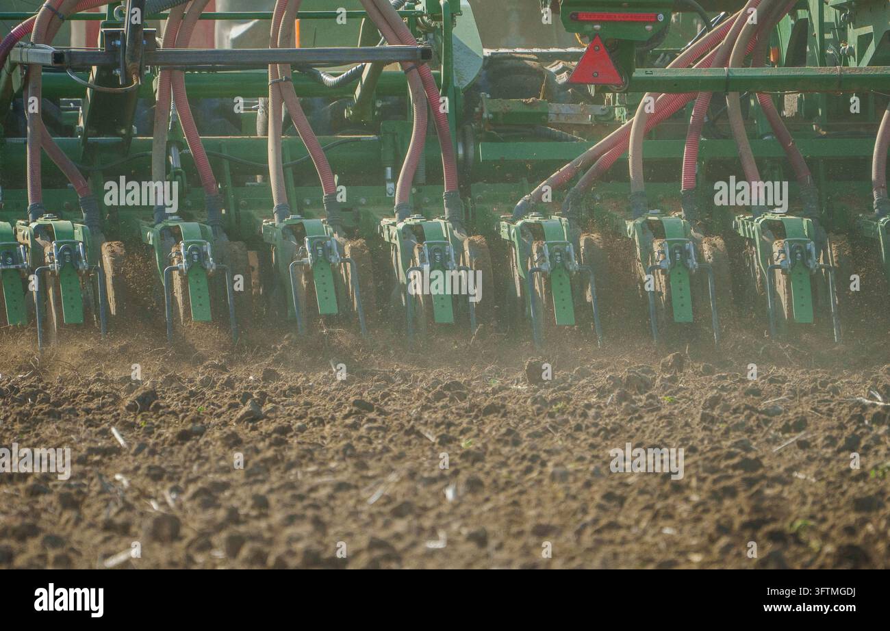 Hofheim Am Taunus, Germany. 15th Oct, 2026. A machine is used to sow ...