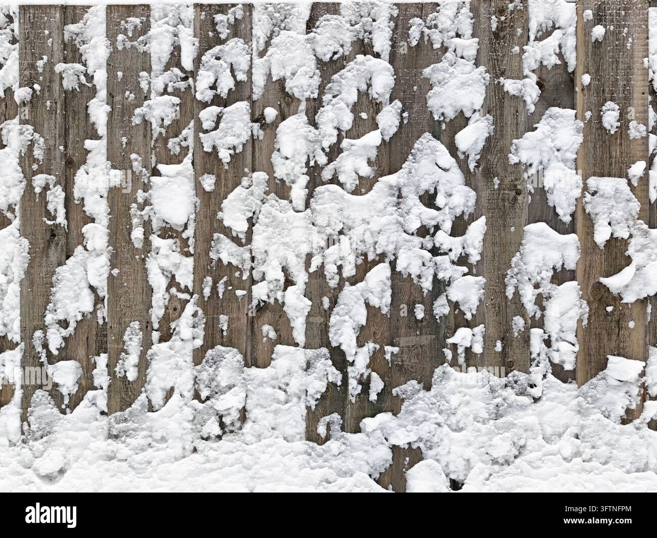 A wooden fence is covered in snow with visible snowflakes on the slats ...