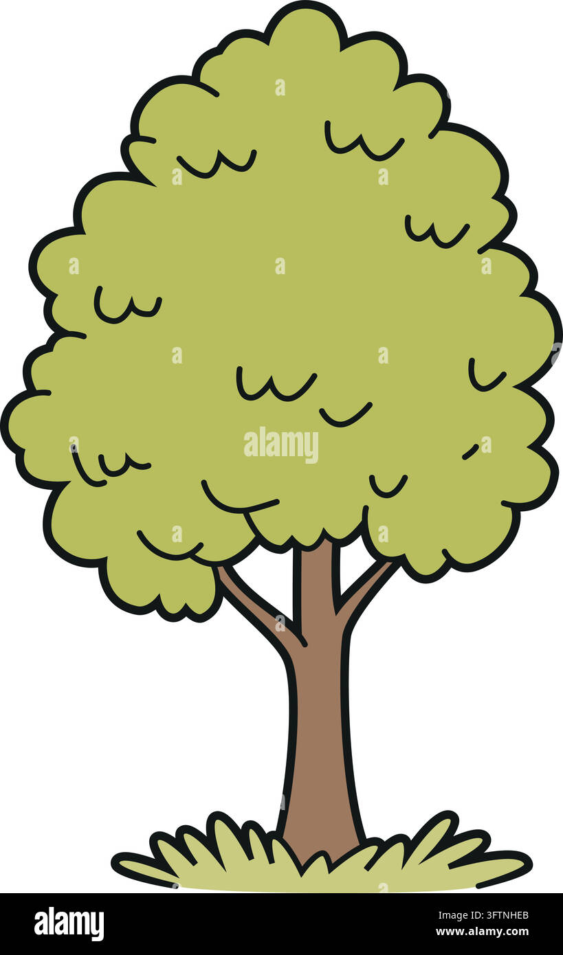Vector illustration of an elm tree in a cartoon, outlined style ...