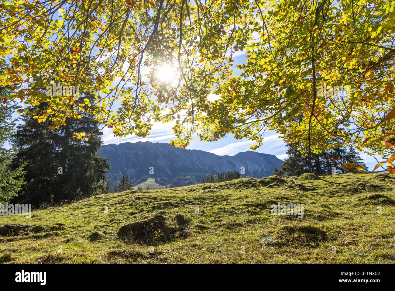 Goldener Oktober in den Bergen Blick auf die Herbstlandschaft bei ...