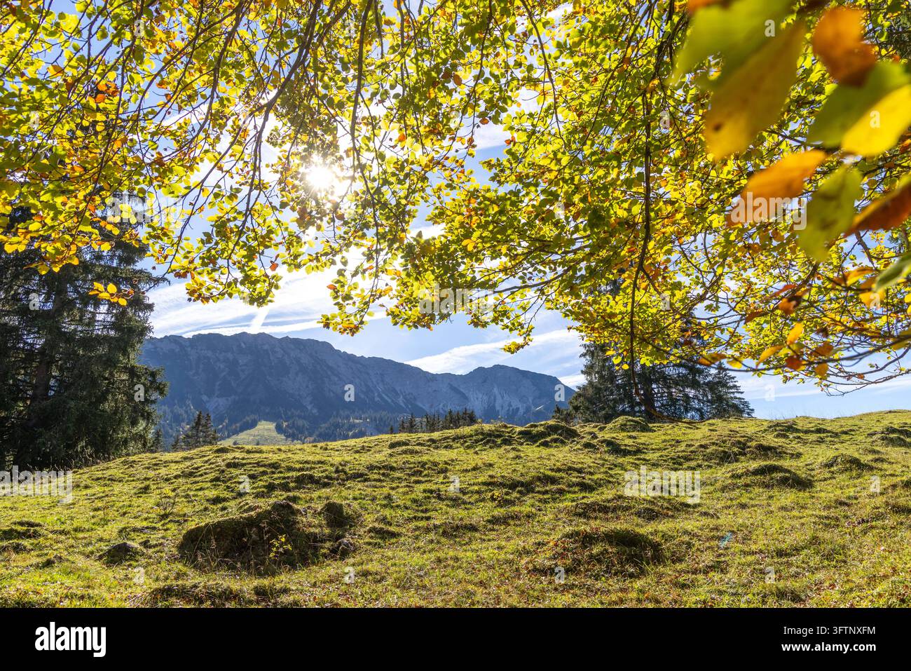 Goldener Oktober in den Bergen Blick auf die Herbstlandschaft bei ...