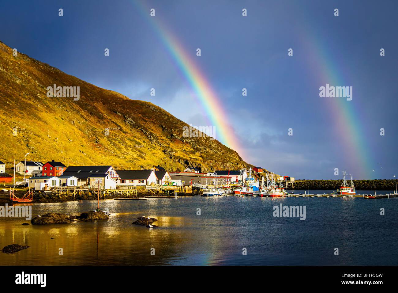 View of the colorful fishing village of Skarsvag with boats docked in ...
