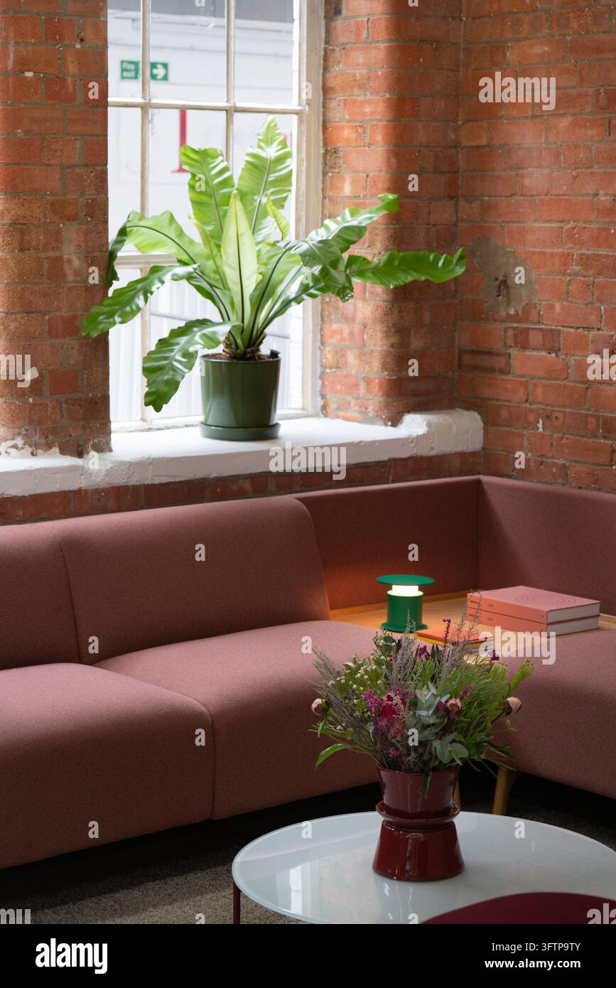 Using A Pink Flower View of a modern office lounge with a pink sofa, a potted fern on a ...