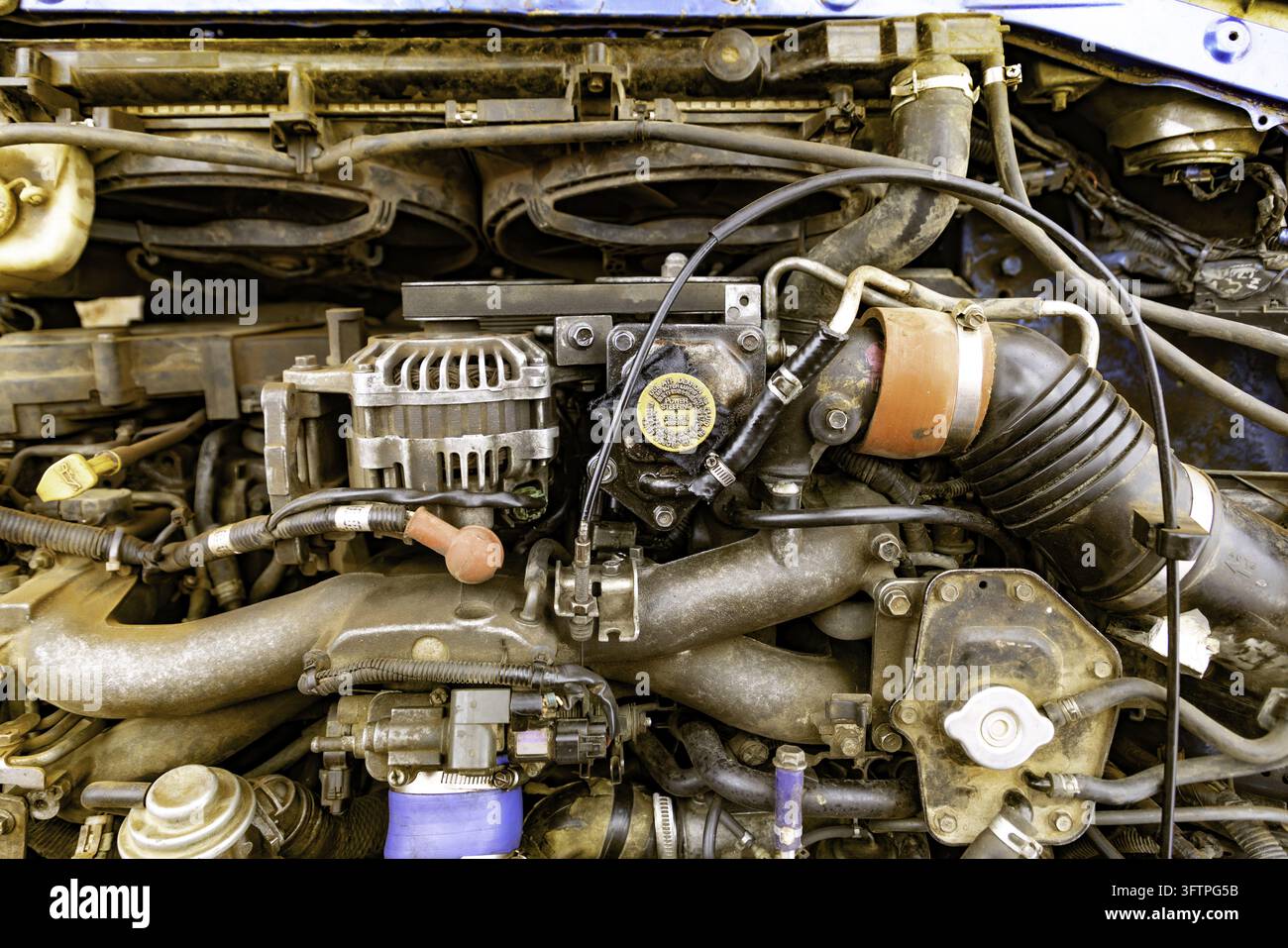 View of a car engine bay showing mechanical components, hoses, and ...