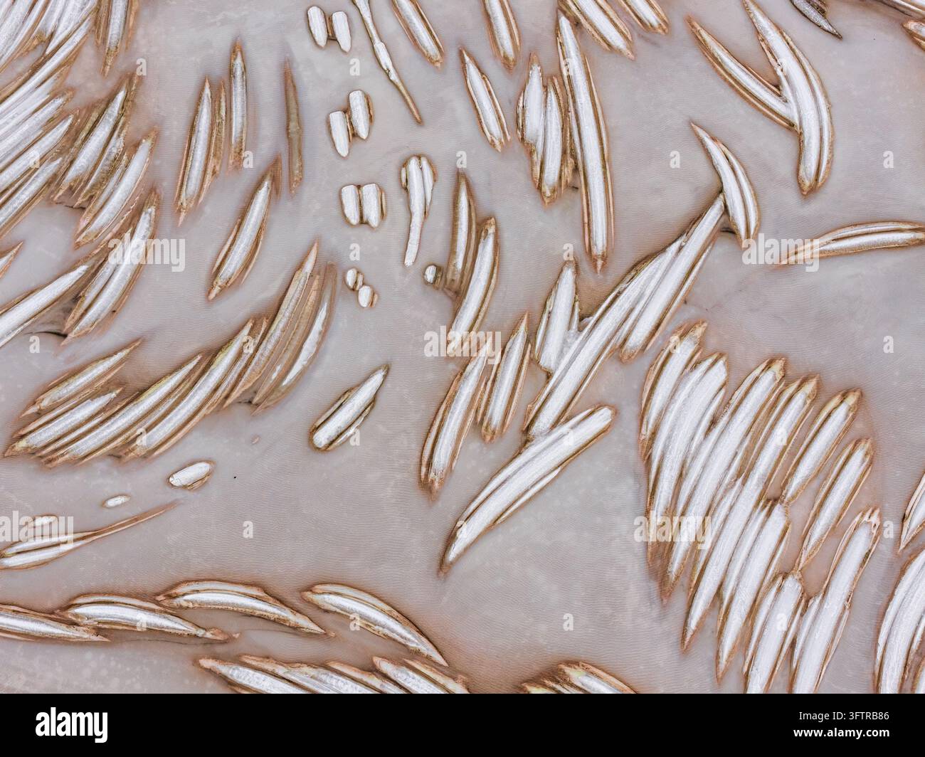Aerial view of salt crust formations and mineral patterns in the Great ...