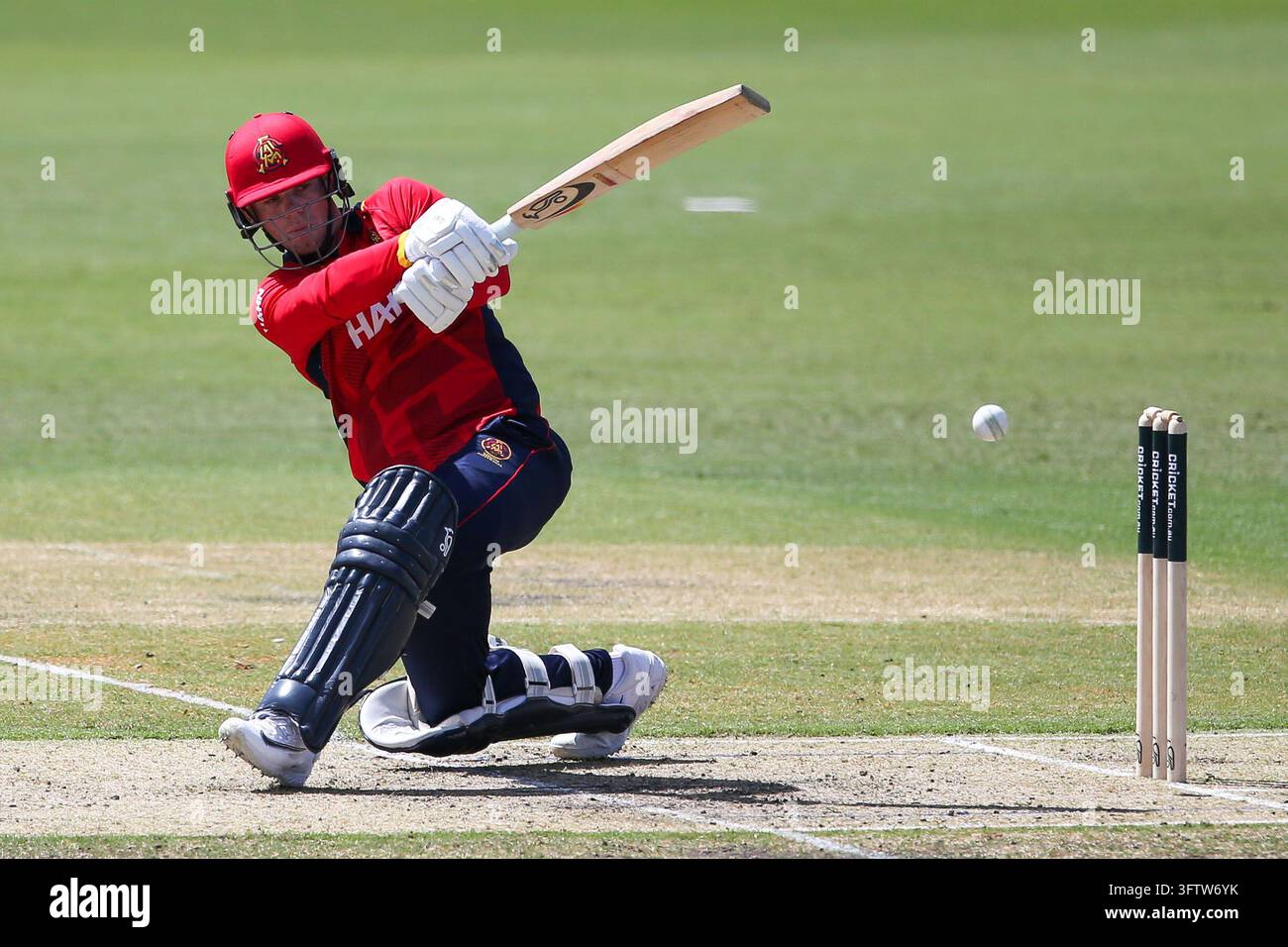 One Image Jake Fraser-McGurk of South Australia during Men's One Day Cup - South ...