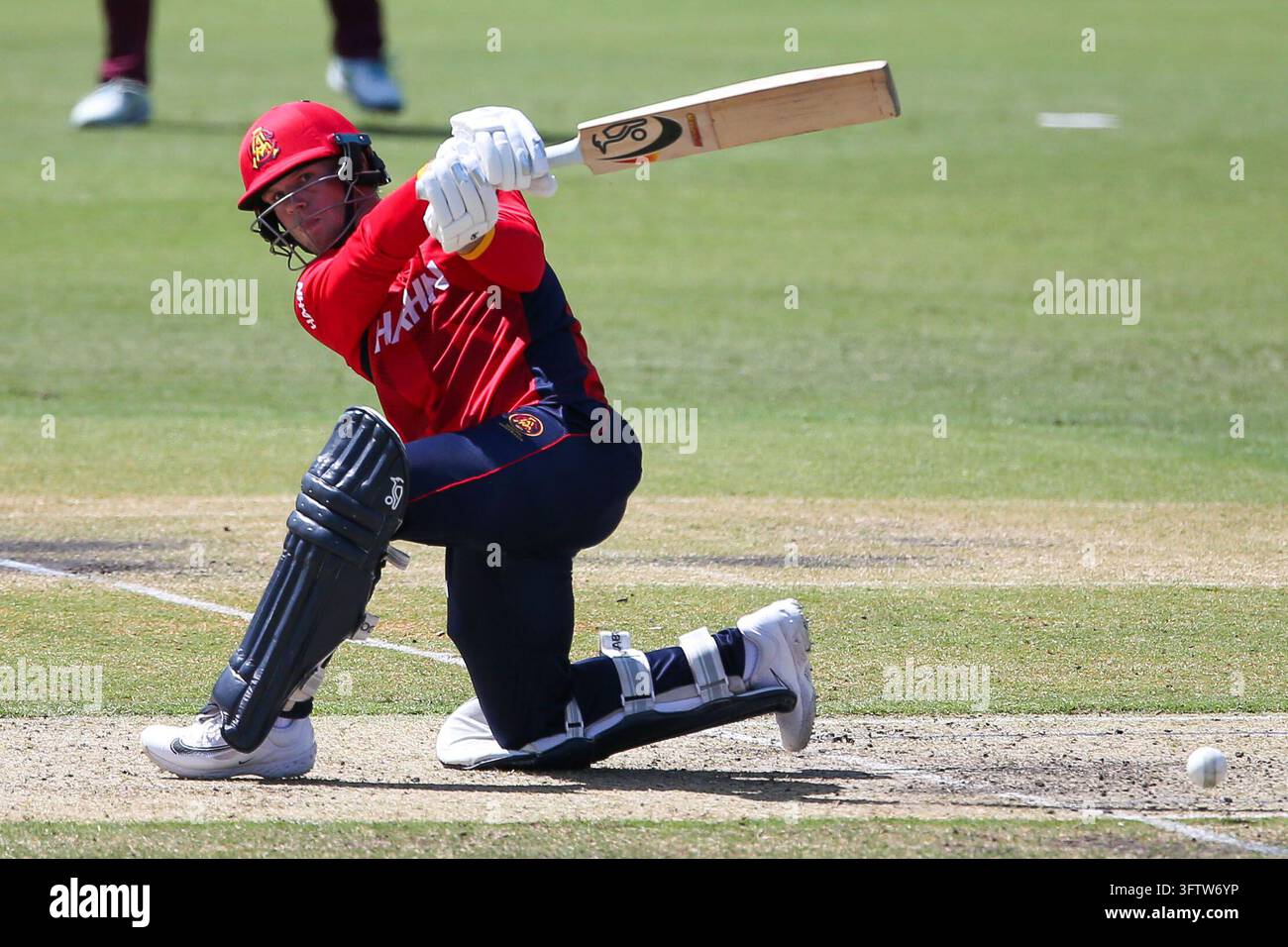 One Image Jake Fraser-McGurk of South Australia during Men's One Day Cup - South ...