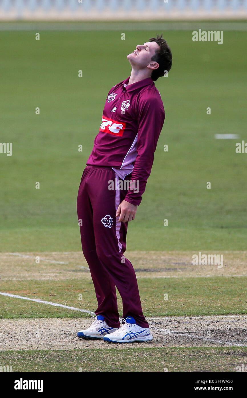 One Image Jack Clayton of the Queensland Bulls during Men's One Day Cup - South ...