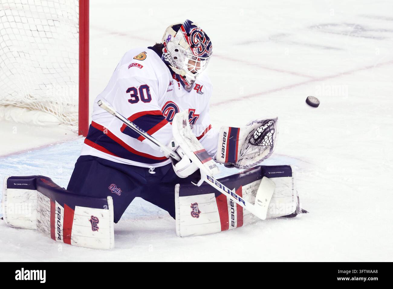 Player profile photo on Regina Pats goalie Taylor Tabashniuk during WHL ...