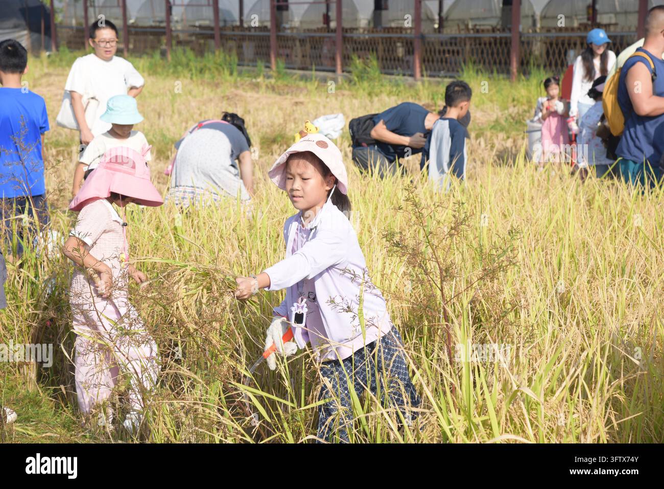 Trade union staff families participate in a parent-child rice ...