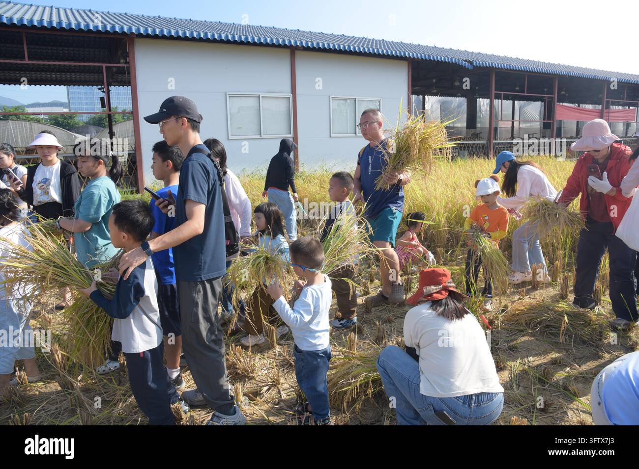 Trade union staff families participate in a parent-child rice ...