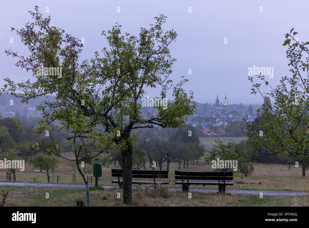 17 October 2026, Hesse, Bad Homburg: A view across the orchards toward ...