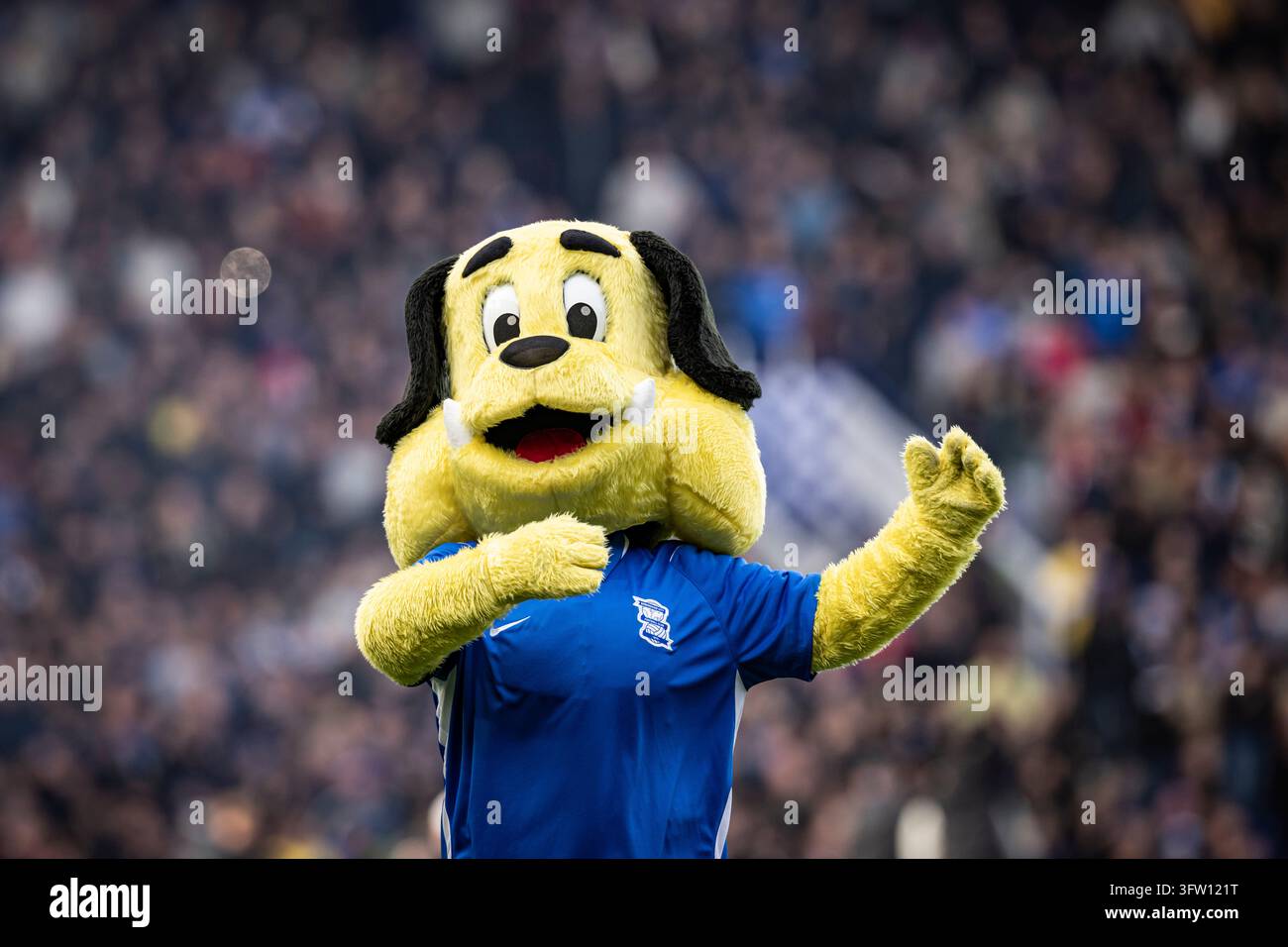 17th October 2026; St Andrews, Birmingham, West Midlands, England ...