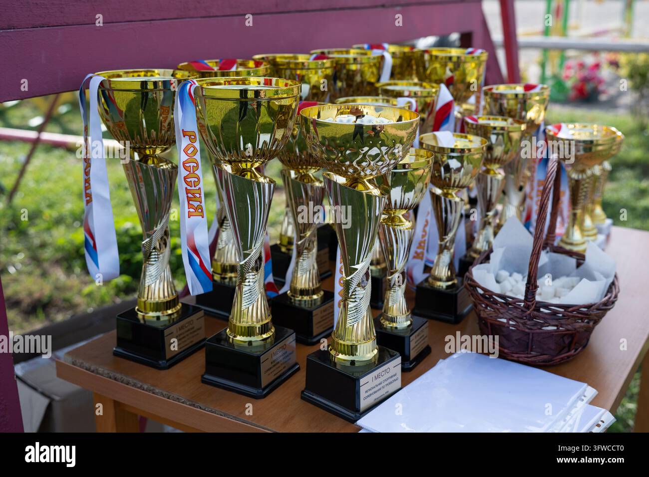 VLADIKAVKAZ, RUSSIA - NOVEMBER 18: Gold trophy cups and award ribbons ...
