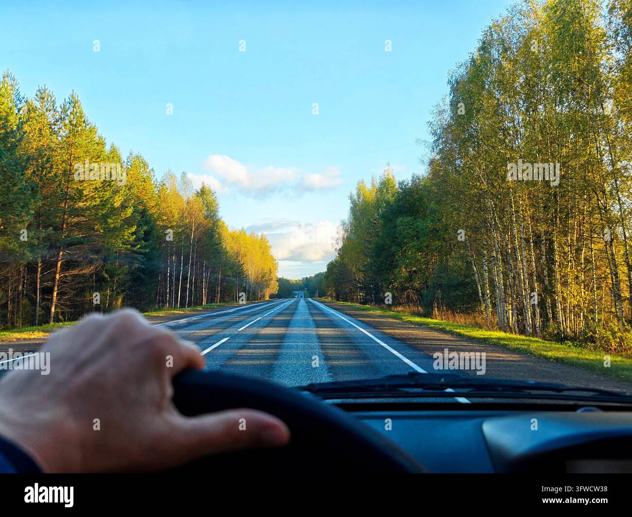 A hand is on the wheel as the car approaches a straight forest highway ...