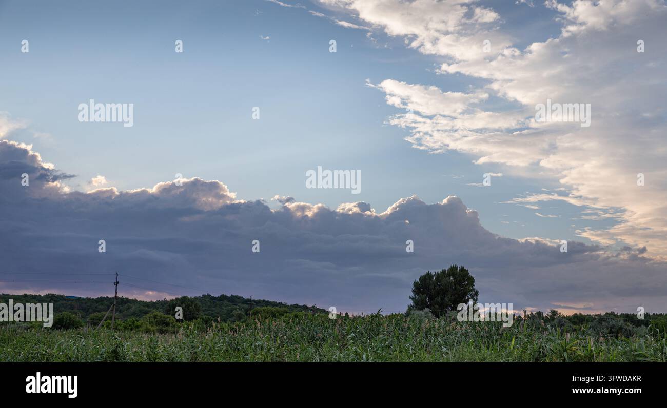 Cload Image Dramatic Clouds with Sunlit Edges Above a Green Cornfield and Trees ...